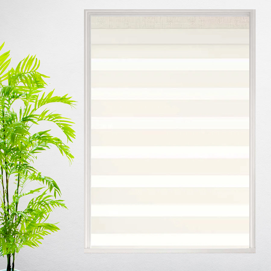 LEVOLOR Light Filtering Dual Shades