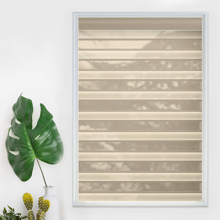 Architect Dual Shades