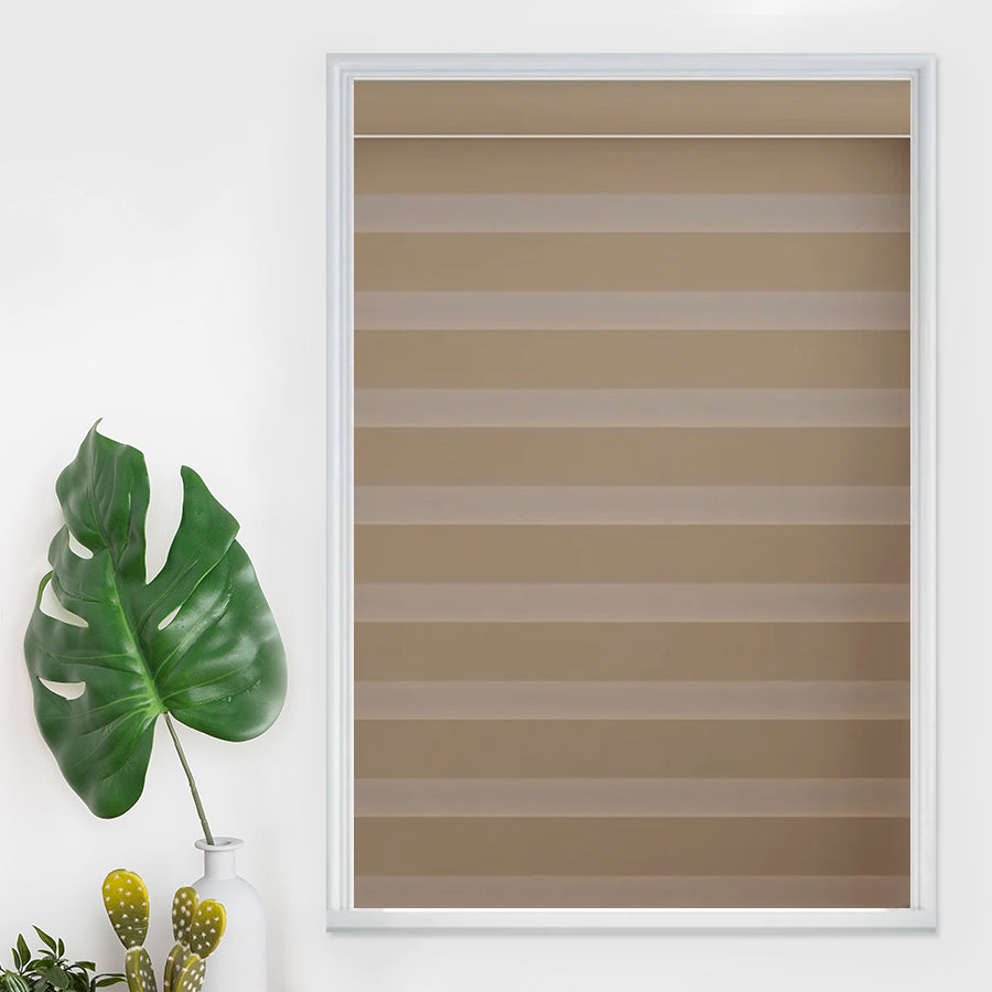 Architect Dual Shades