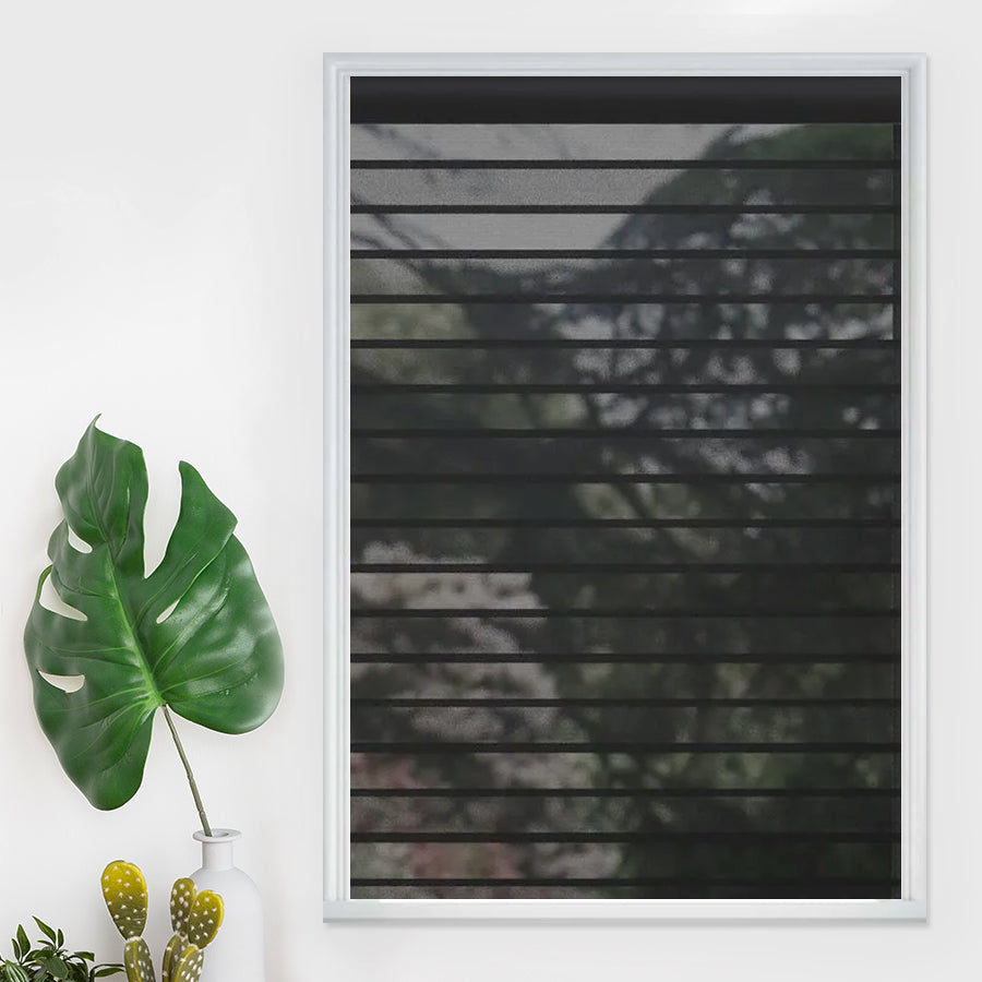 Architect Dual Shades