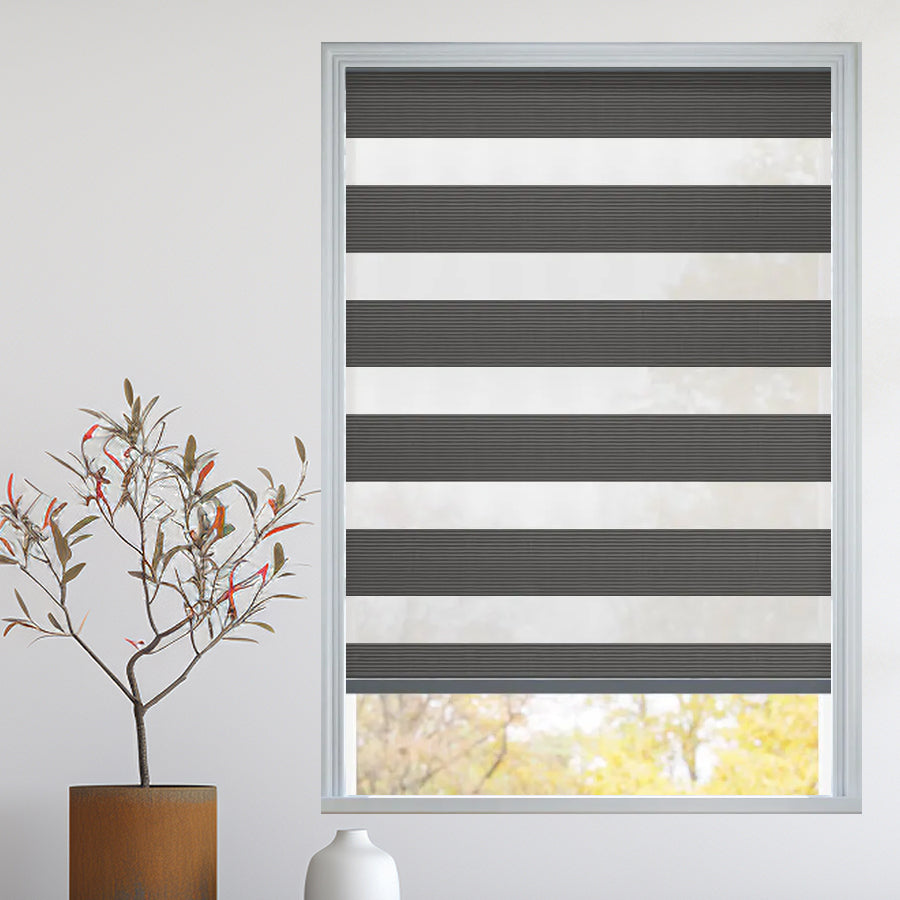 Designer Light Filtering Dual Shades