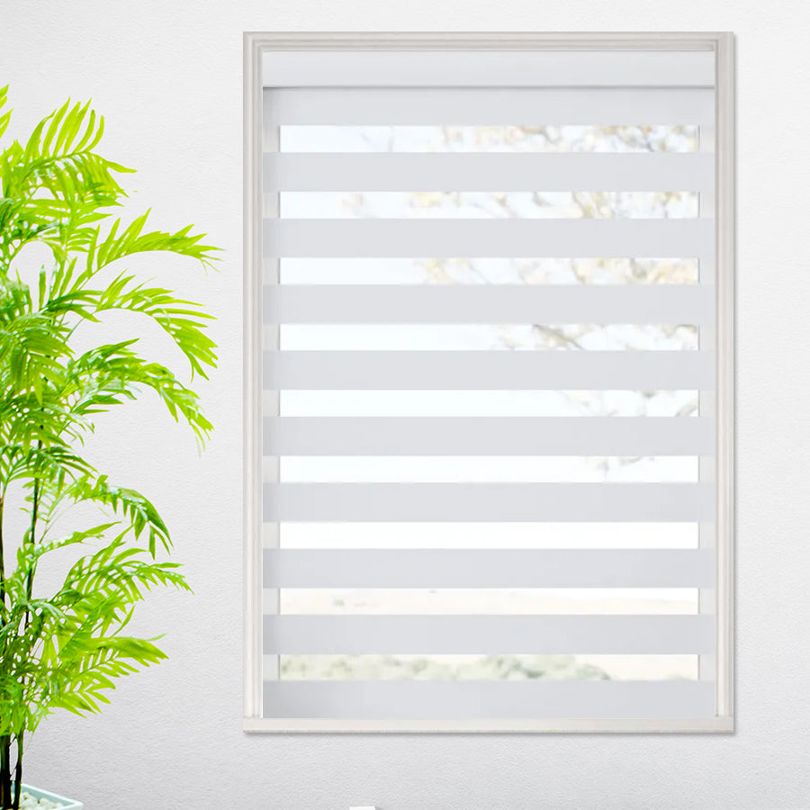 First Class Light Filtering Dual Shades