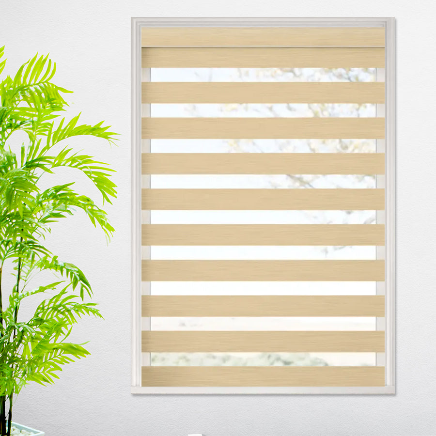 First Class Light Filtering Dual Shades