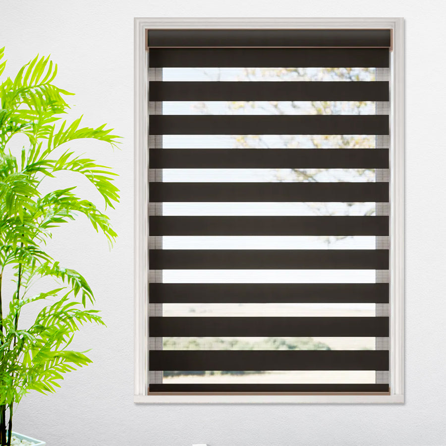 First Class Light Filtering Dual Shades