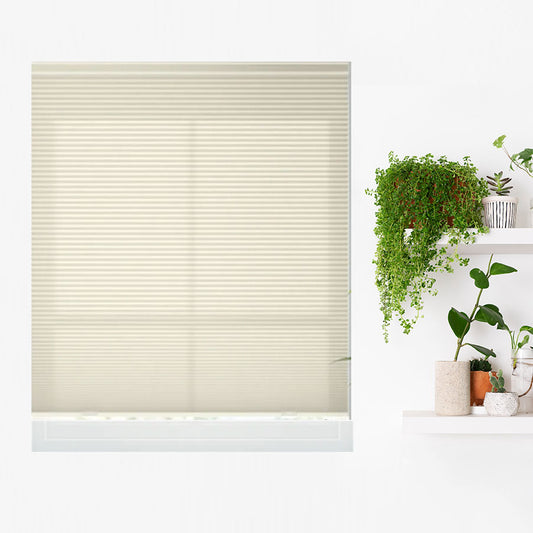 Timeless Cordless Light Filtering Cellular Shades