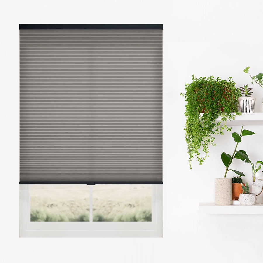 Intricate Light Filtering Cellulars