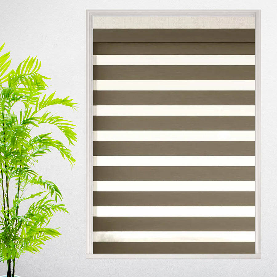 LEVOLOR Light Filtering Dual Shades