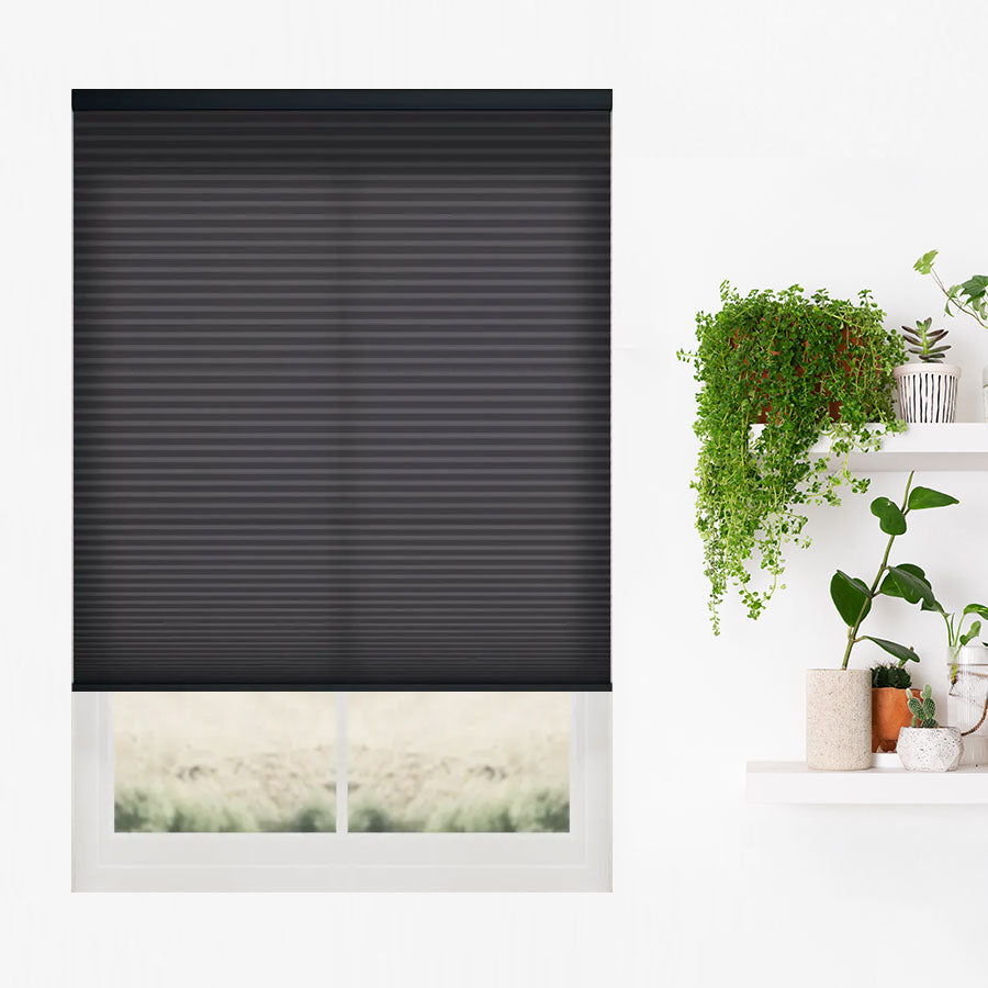 Intricate Light Filtering Cellulars