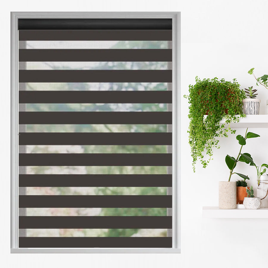 Traditional Light Filtering Dual Shades