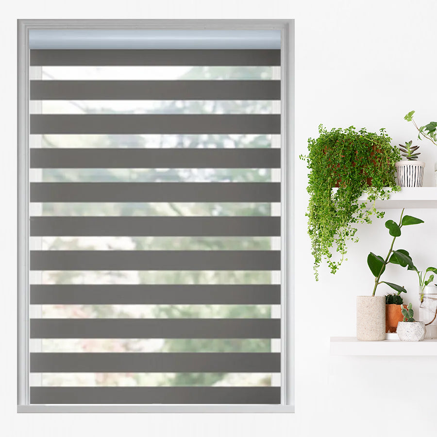 Traditional Light Filtering Dual Shades