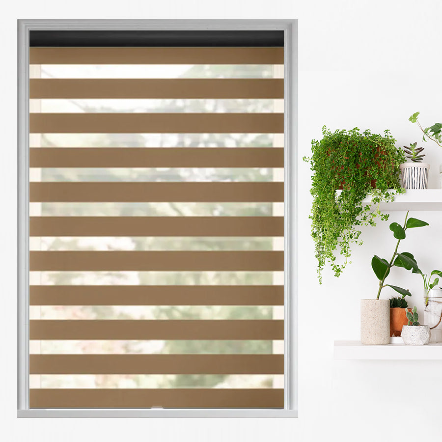 Traditional Light Filtering Dual Shades