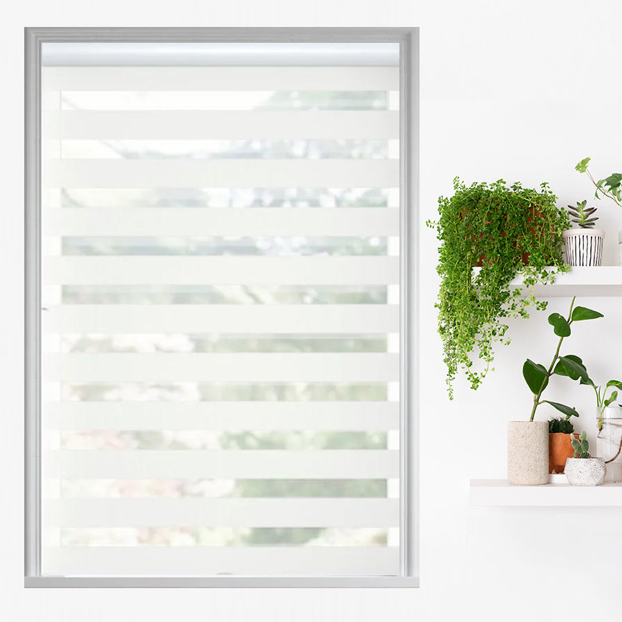 Traditional Light Filtering Dual Shades