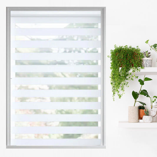 Traditional Light Filtering Dual Shades